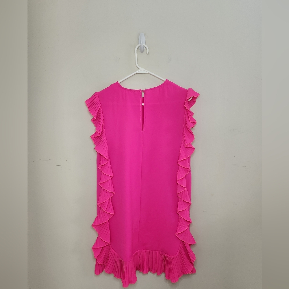 TCEC Pink Ruffle Dress - Picture 5 of 10